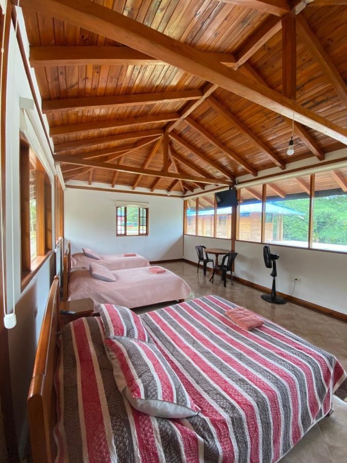 Ayahuasca · Foto 3