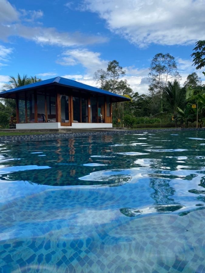 Guayusa · Foto 2